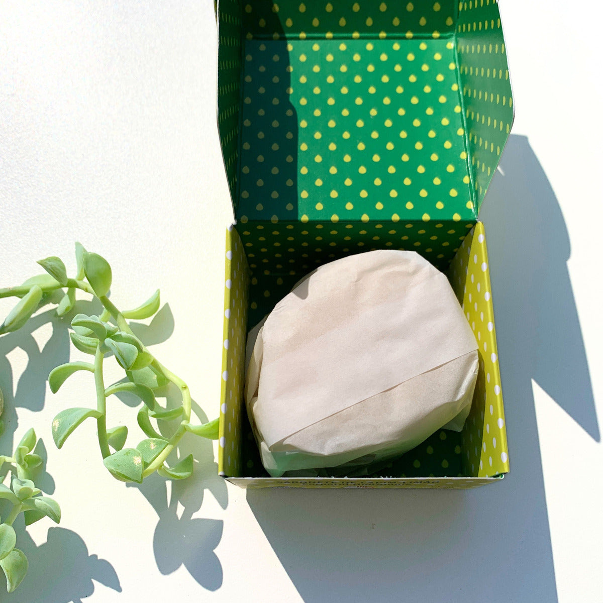 SABONETE CORPORAL CAPIM-LIMÃO VVERD