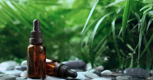 Aromaterapia Moderna: Como a Ciência Potencializa os Benefícios dos Óleos Essenciais