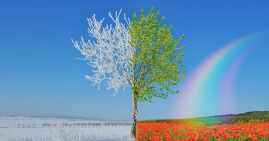 Ar mais seco ou úmido? Como equilibrar sua casa na transição de estações.