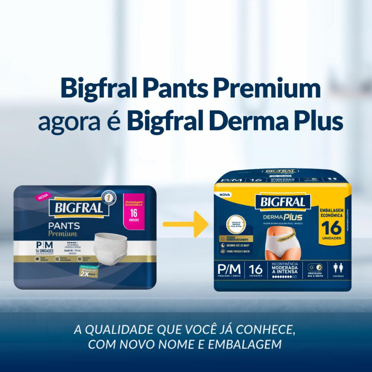 FRALDA BIGFRAL ROUPA INTIMA DERMAPLUS P/M 16 UNIDADES